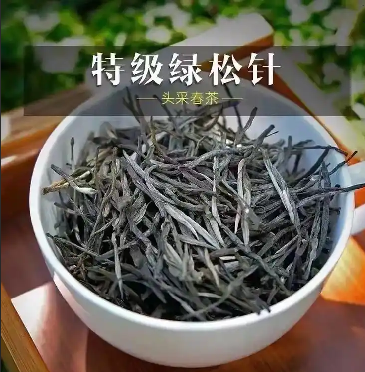 崂山松针茶